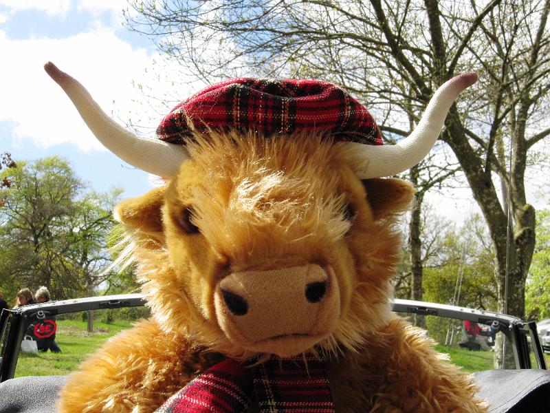 Dag 5, Fort William-Stirling (135).JPG